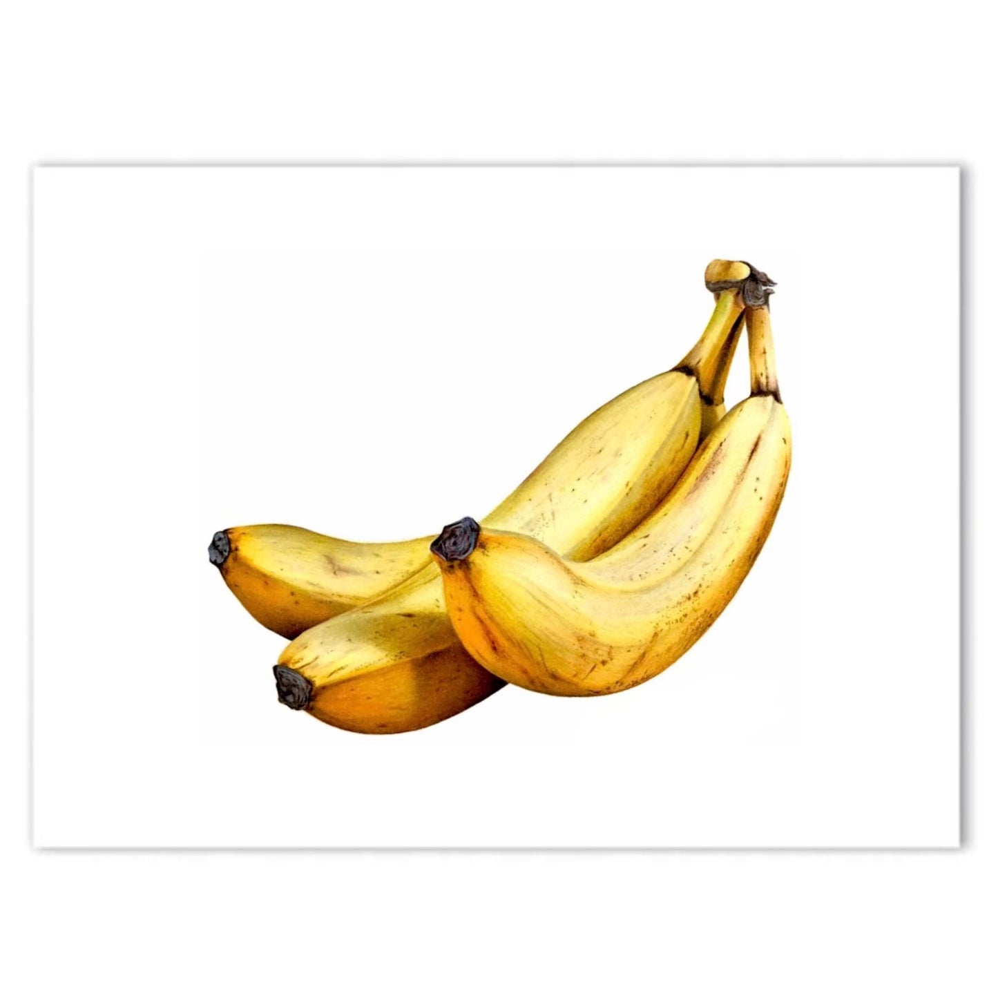 Bananas Print