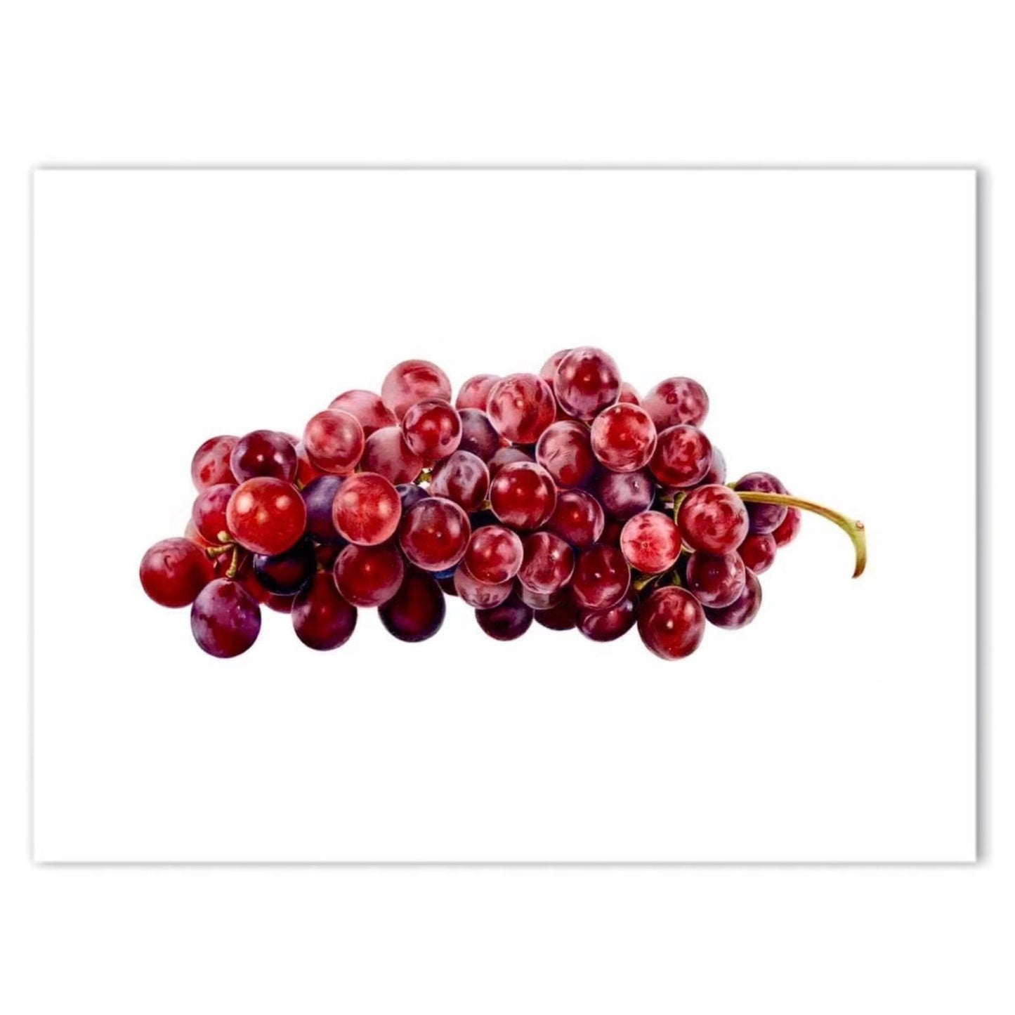 Grapes Print