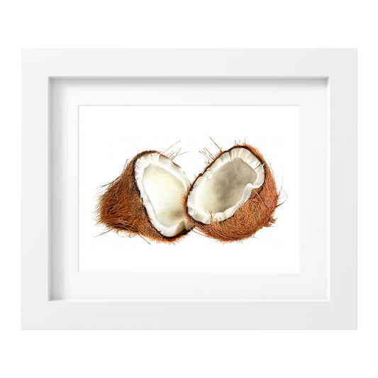Coconut Print