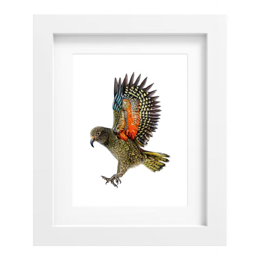 Kea Print