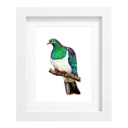 Kereru Print