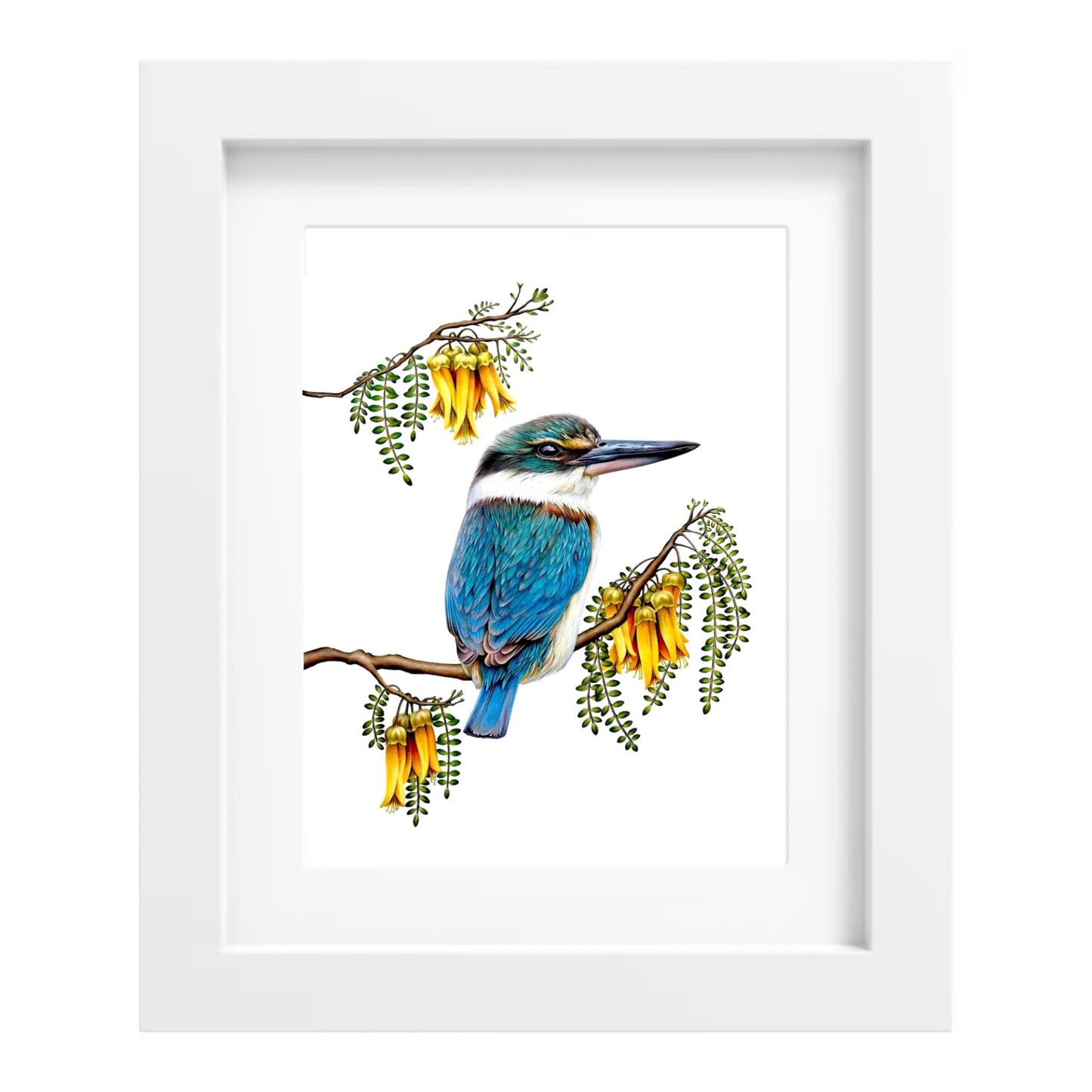 Kingfisher Print