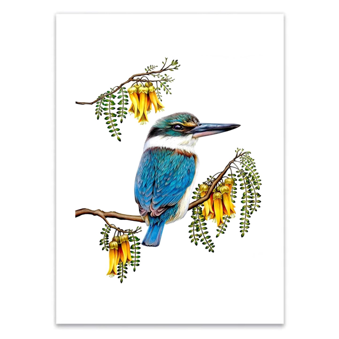Kingfisher Print