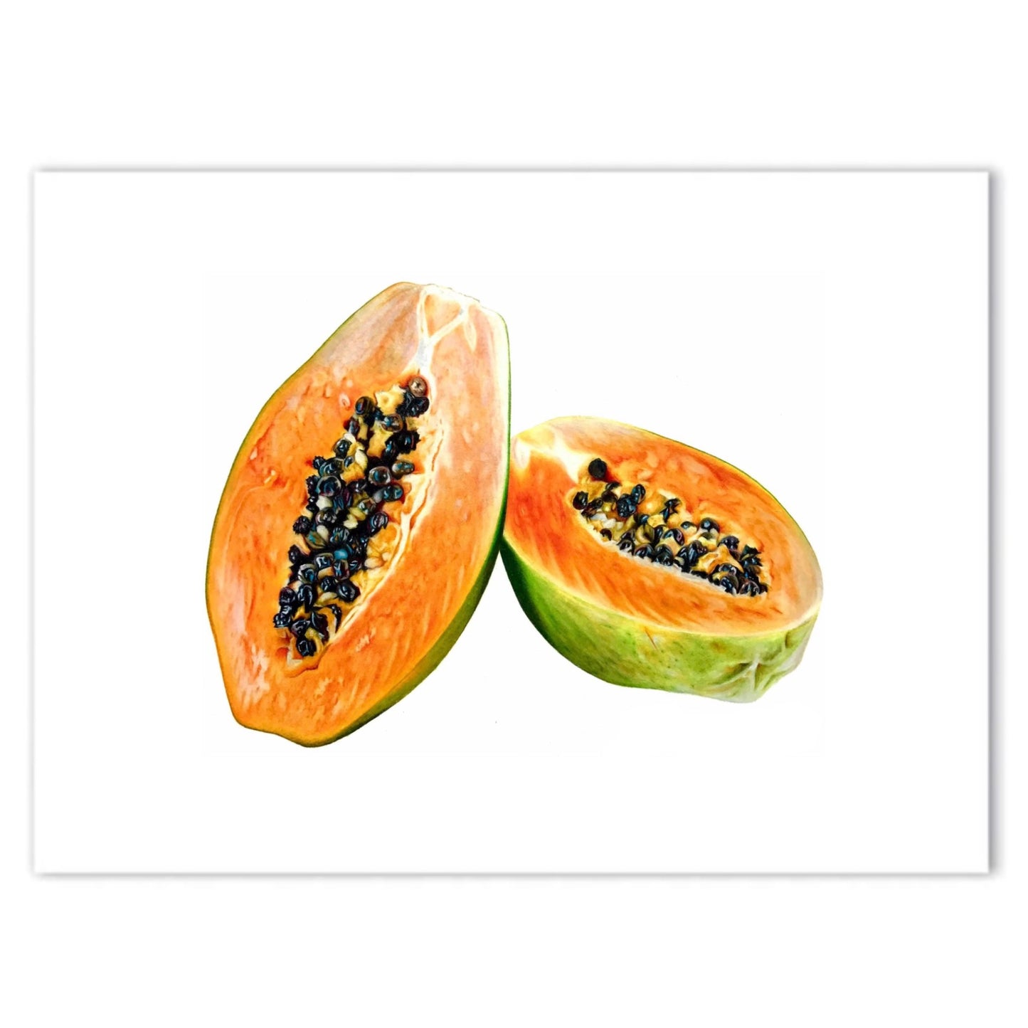 Pawpaw Print