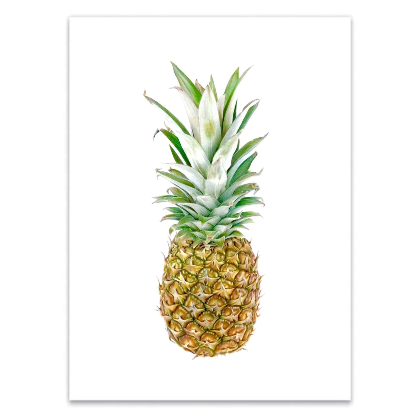Pineapple Print