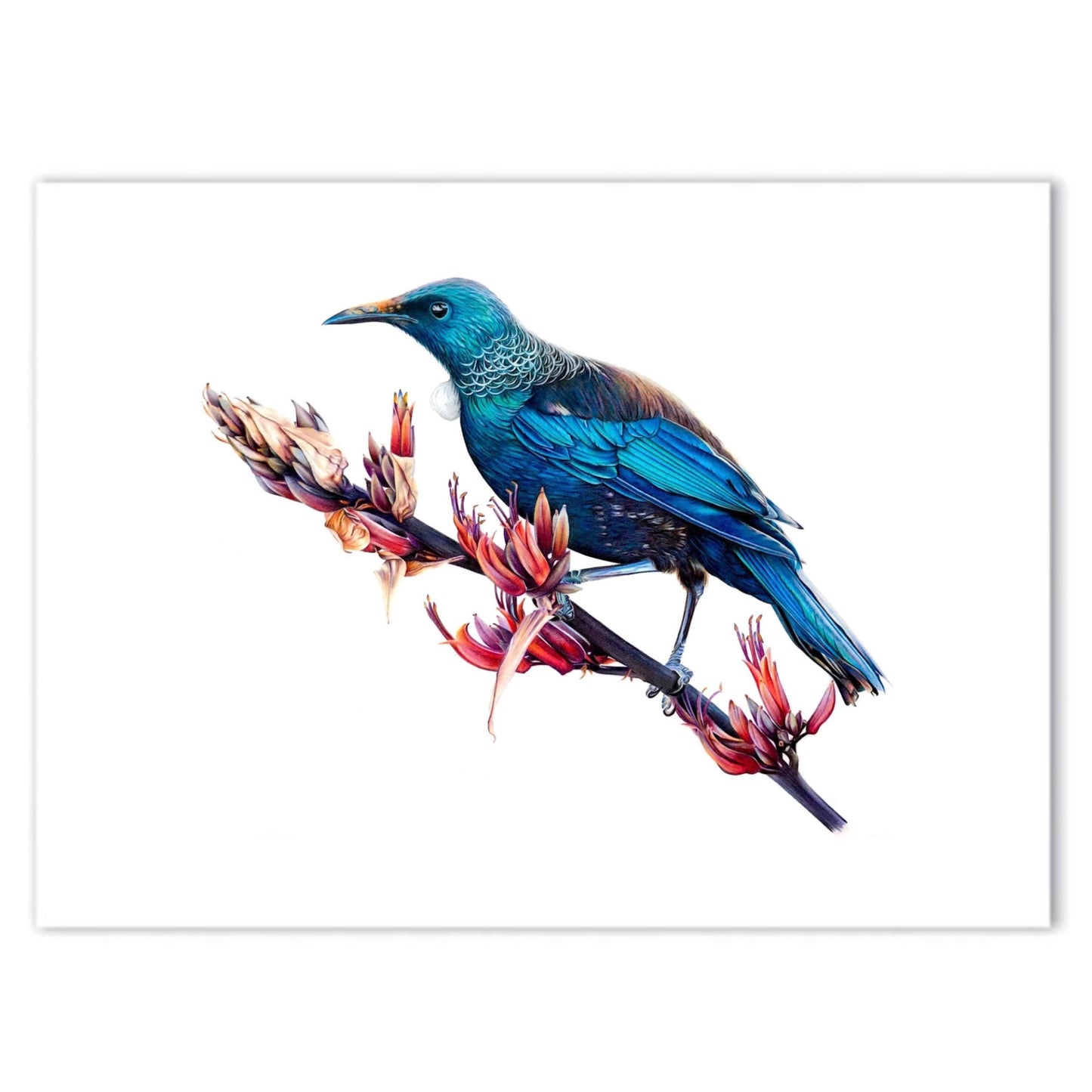 Tui Print