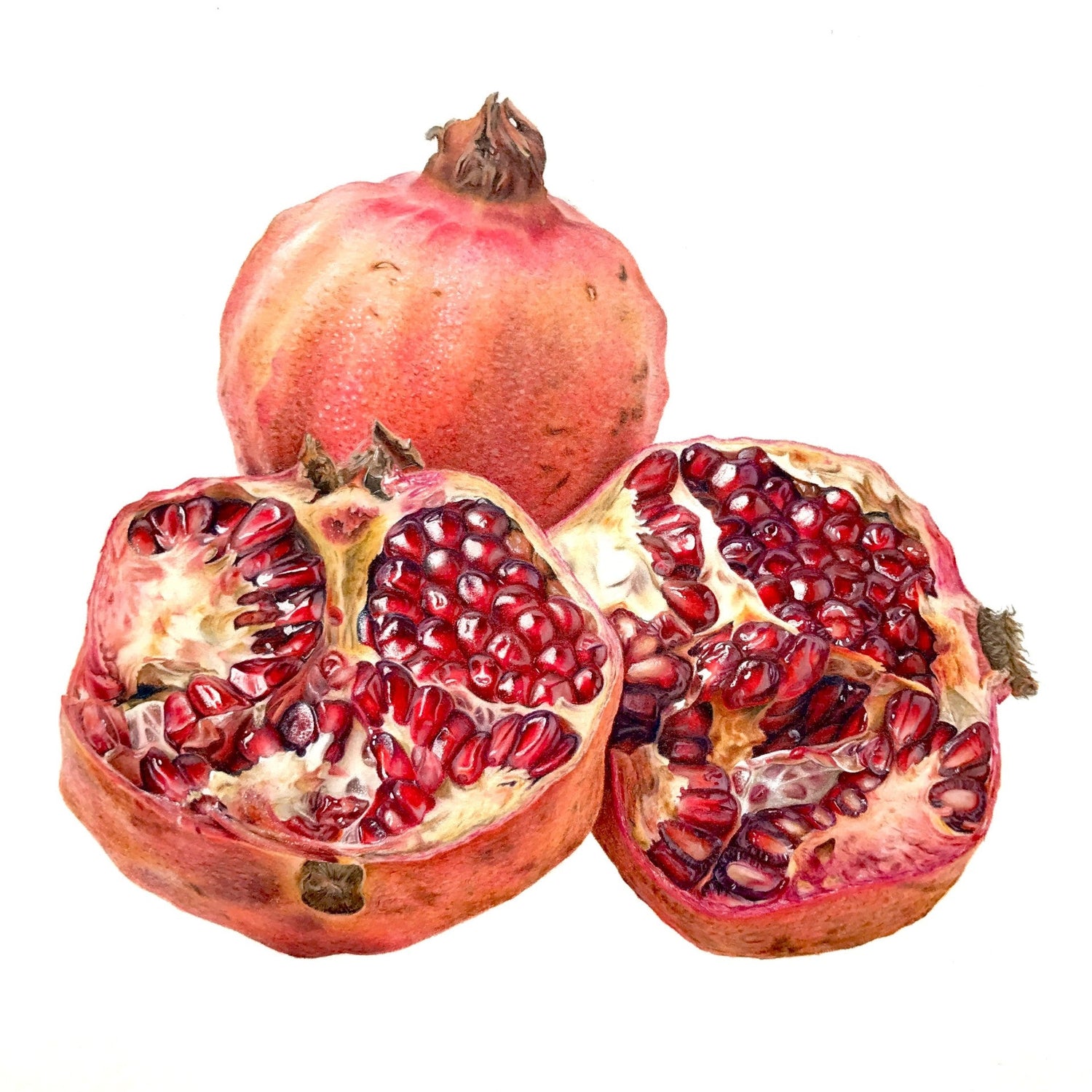 Fruit Prints