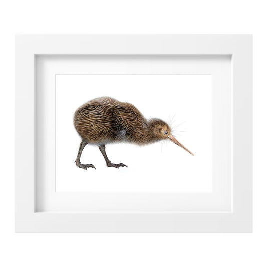 Kiwi Print