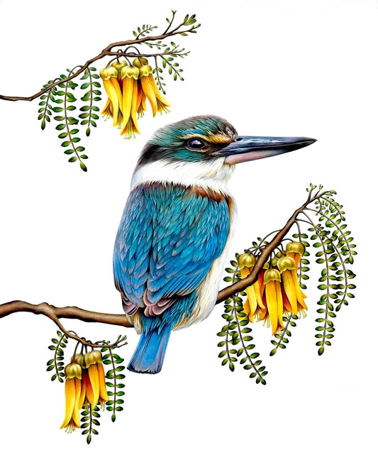 Kingfisher Print