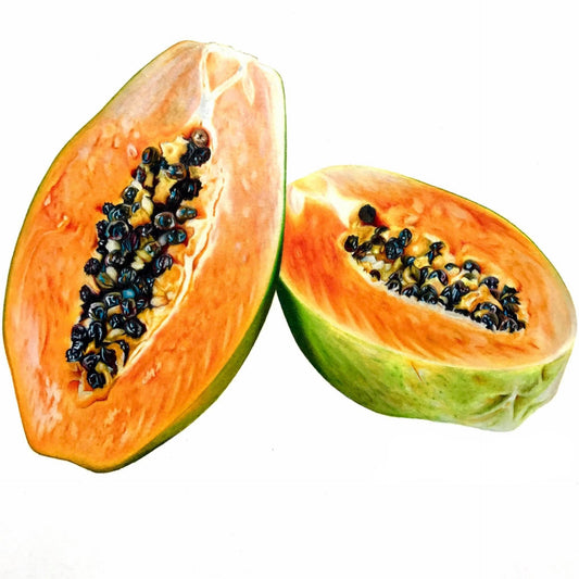 Pawpaw Print