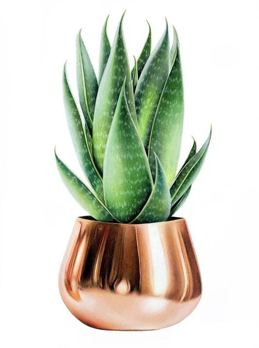 Rose Gold Cacti Print