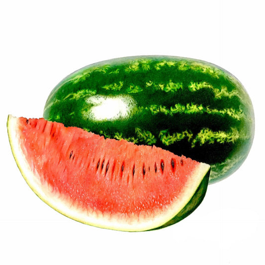 Watermelon Print